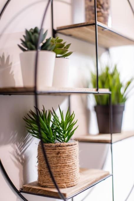 Forest Chic : Maison San Marina Leilighet Parmain Eksteriør bilde